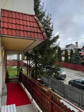 Constantinescu A Buşteni